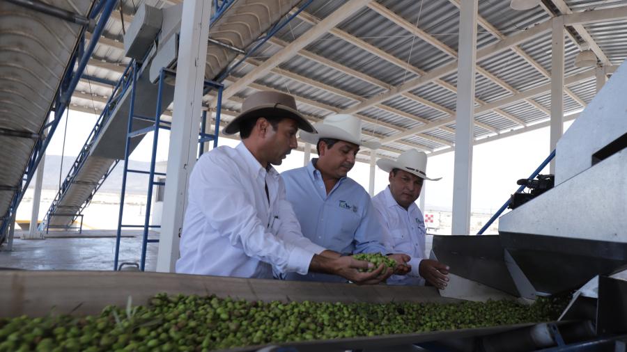 Ofrece gobierno de Tamaulipas respaldo a inversionistas