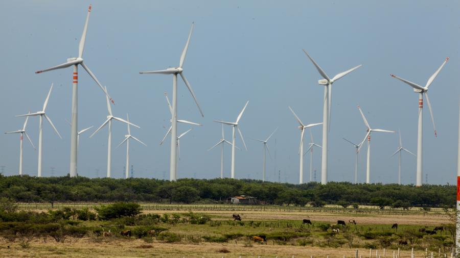 13 proyectos logran suspensión definitiva a acuerdo de Cenace