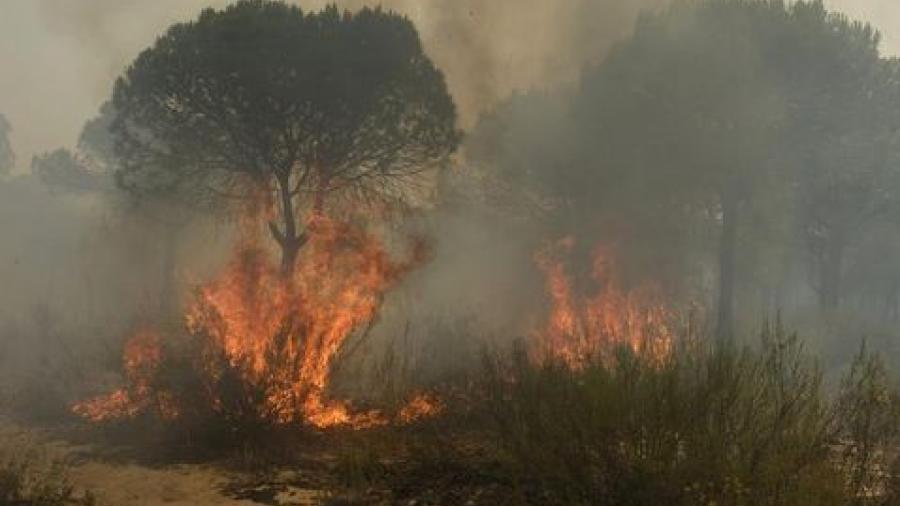 Desalojan por incendio a más de 2 mil en España