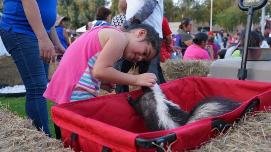 Vive en Nuevo Laredo una fiesta de arte y cultura con la inauguraci&oacute;n del espacio cultural y art&iacute;stico del parque Viveros