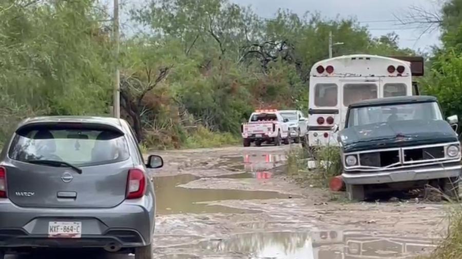 Se intensifica b&uacute;squeda de tigre en colonias
