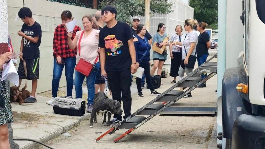 Gran éxito de la campaña de esterilización realizada por COMUSA