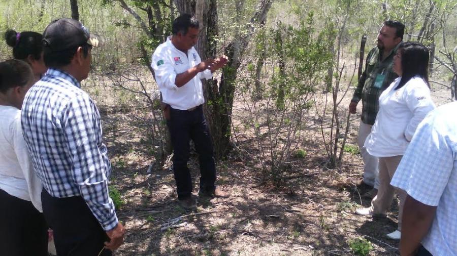 Citricultores de Soto la Marina reciben capacitación en Lombricultura