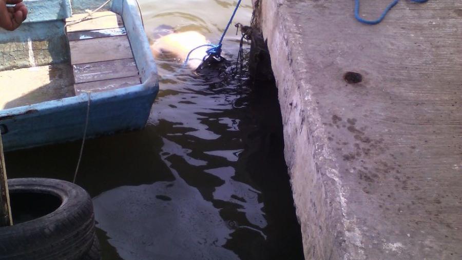 Hombre se suicida en puente Tampico