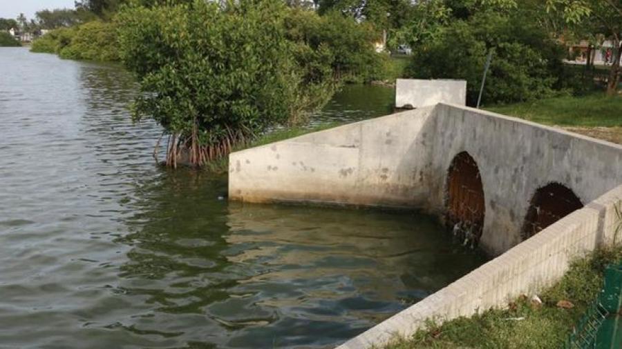 Descarta Comapa descarga de aguas negras a la laguna del Carpintero
