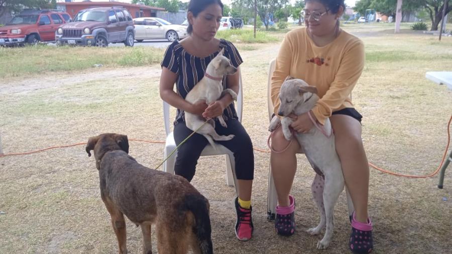 Llevarán programa "EcoPatas" a colonia Unidad Obrera 