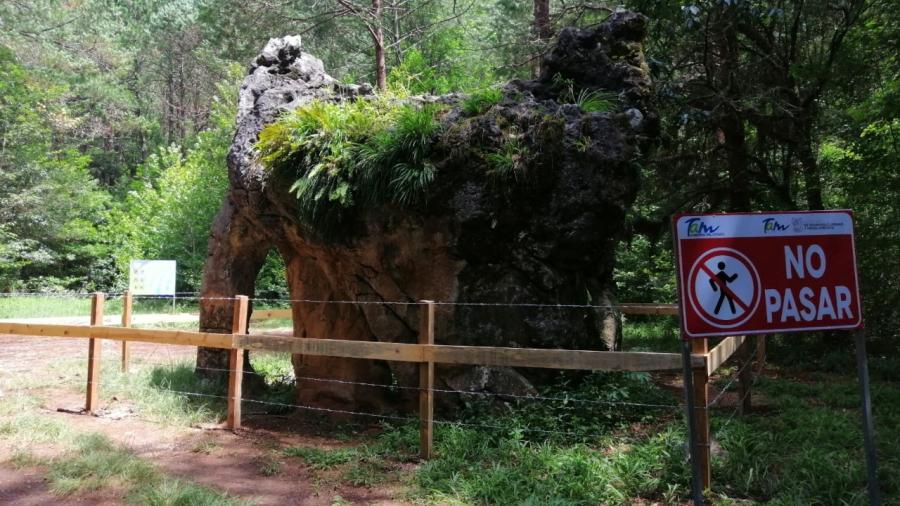 Cercan milenaria piedra “El Elefante” en la Reserva de la Biosfera El Cielo  