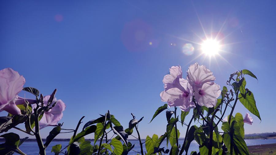 Conoce el pronóstico del tiempo para este martes en Tamaulipas 