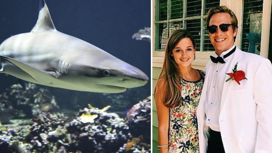 Mujer embarazada salva a su esposo de ataque de tiburón