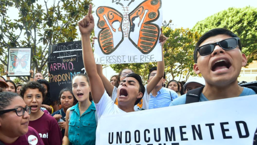 Maestros y alumnos de Harvard son arrestados por protesta contra Trump