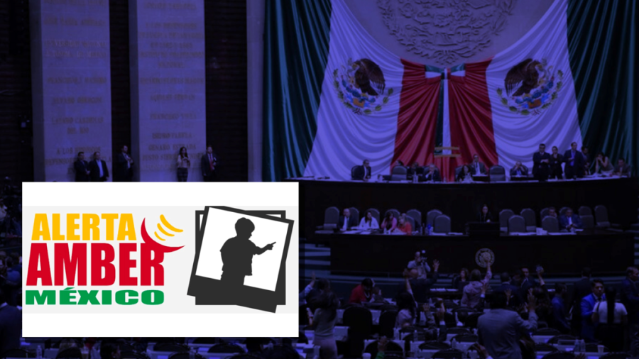 Diputados aprueban que Alerta Amber sea la herramienta inmediata en desaparición de menores