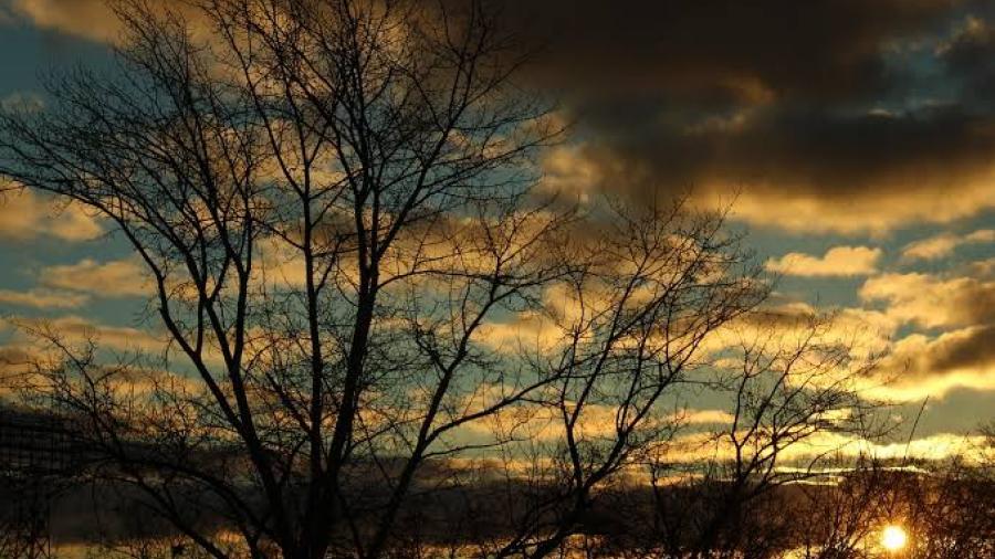 Conoce el pron&oacute;stico del tiempo para este fin de a&ntilde;o en Tamaulipas 
