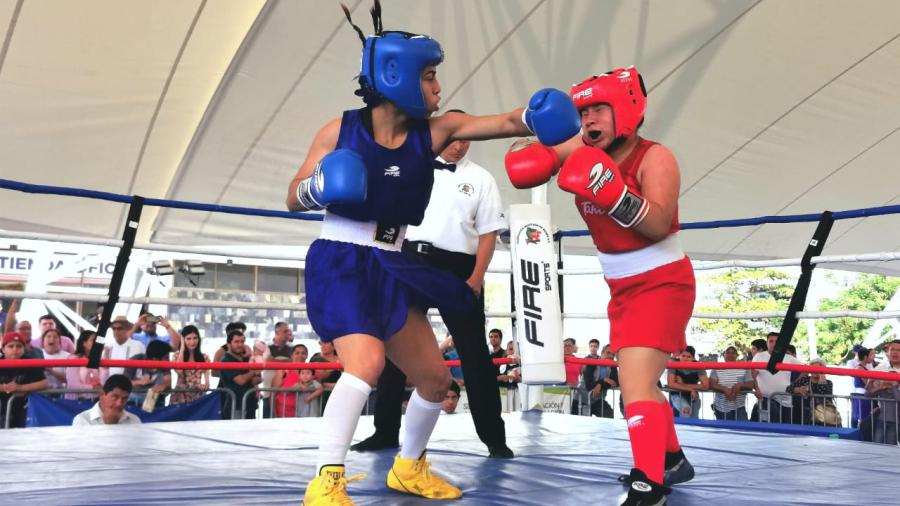 Seleccionados de Box en busca del pase al Nacional