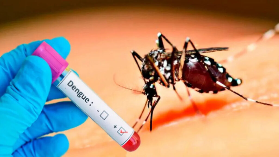 Guatemala declara emergencia nacional por epidemia de dengue 