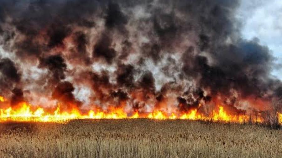 Bomberos responder a incendio en Sullivan City
