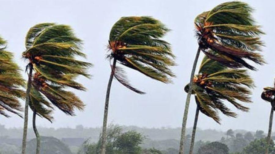 SMN prevé ráfagas de viento de hasta 70 km/h en Tamaulipas
