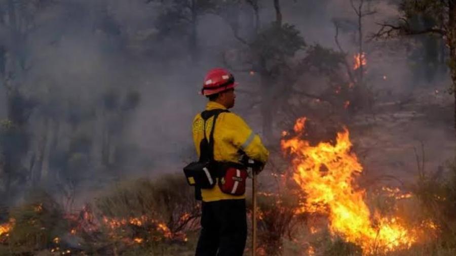 Crece un incendio forestal en California en medio de temperaturas extremas