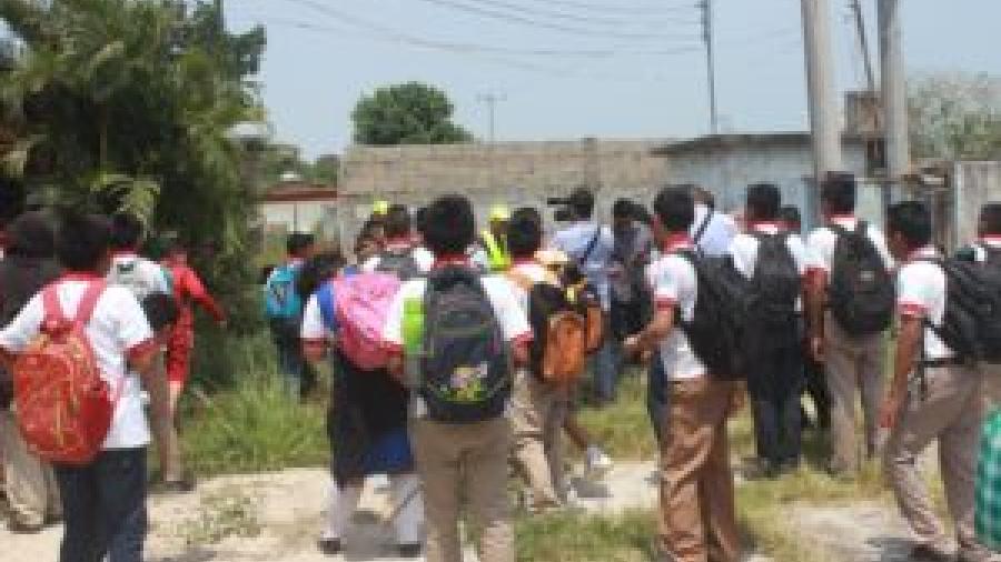 Alarma presencia de lagarto en secundaria en Madero