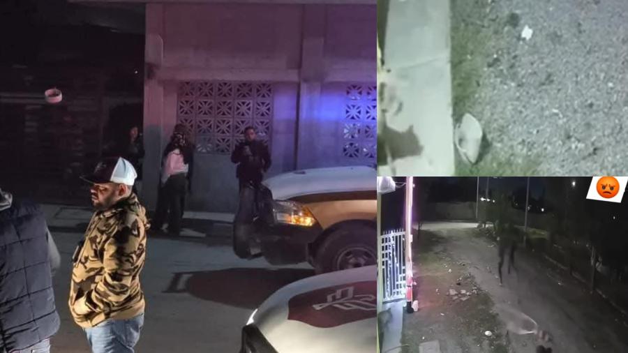 Menor asesina cruelmente a perrito de la calle: autoridades se pronuncian al respecto