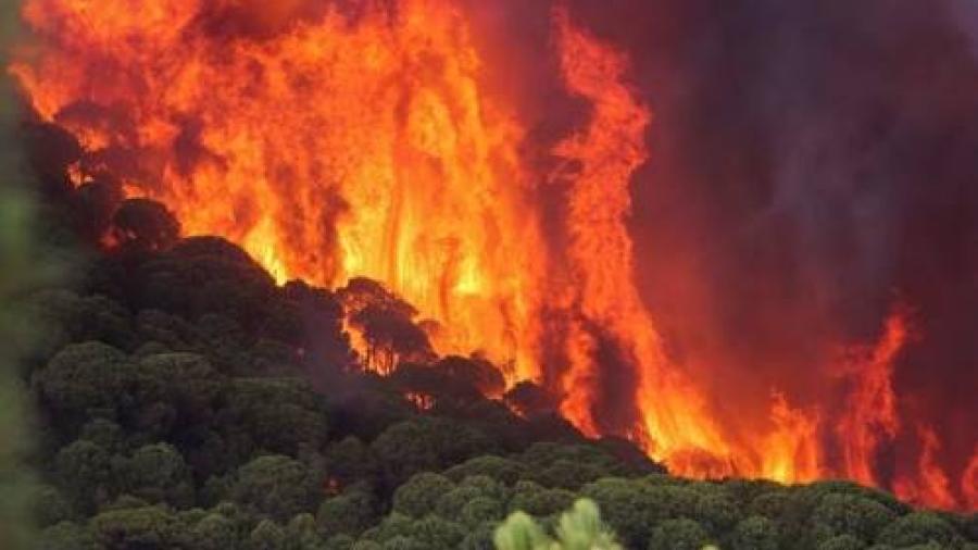 Incendio forestal en California fue provocado por pinchadura de llanta