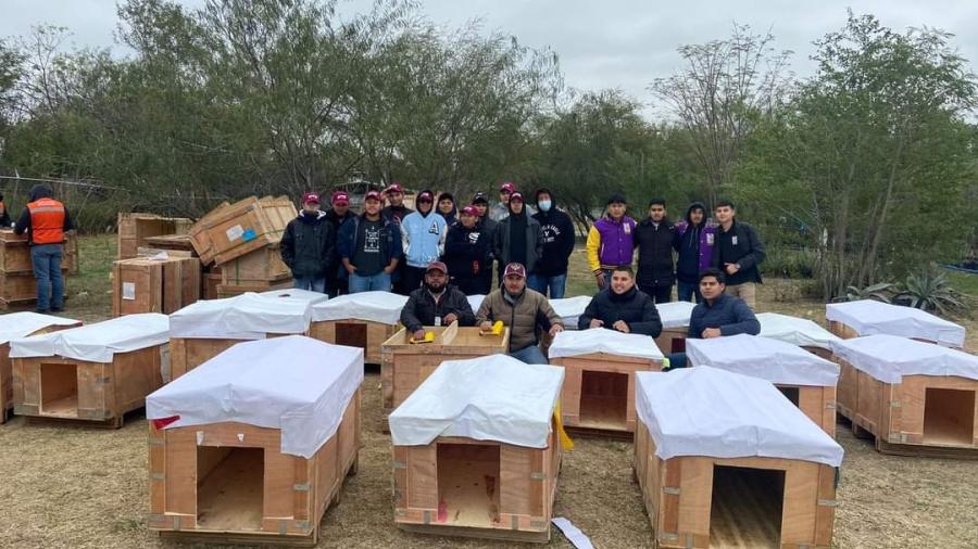 Instalan casas para proteger animalitos en situación de calle ante ola invernal.