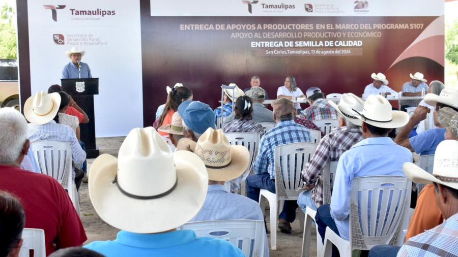 Impulsa Tamaulipas siembra de sorgo y maíz con la entrega de semilla de calidad