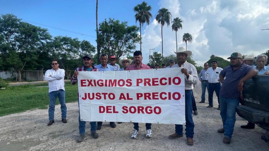 Campesinos  insisten en diálogo para asegurar pago por sorgo