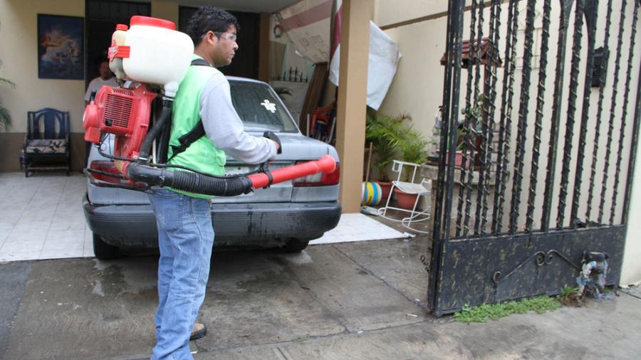 Continúa el programa de fumigación en la ciudad 