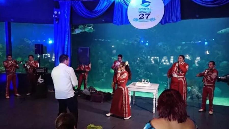 Gobierno de Veracruz asegura que habrá sanción por fiesta en el acuario