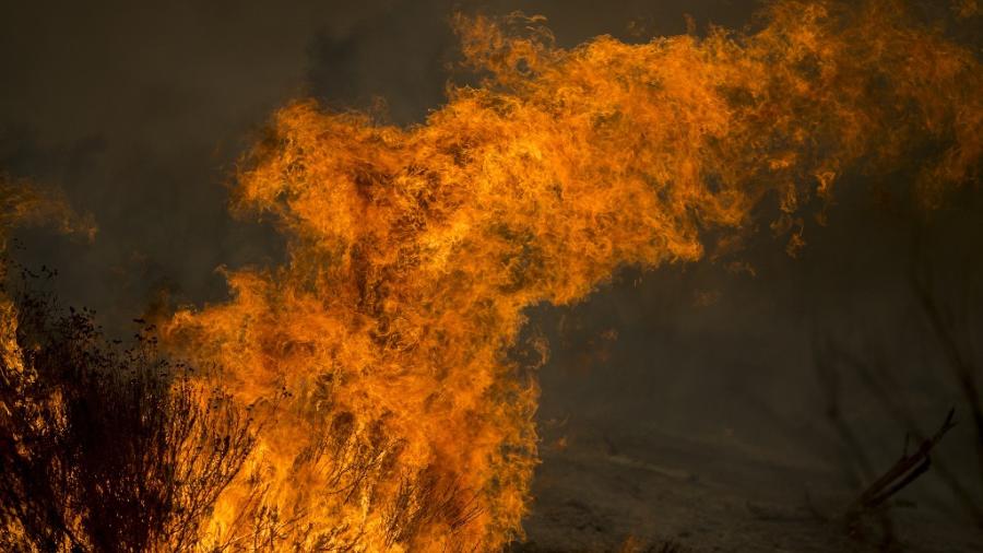 25 muertos tras el peor incendio en California