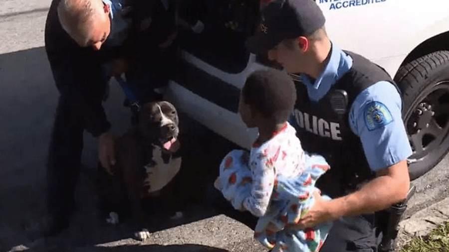 Perrito protege a niño que se había perdido