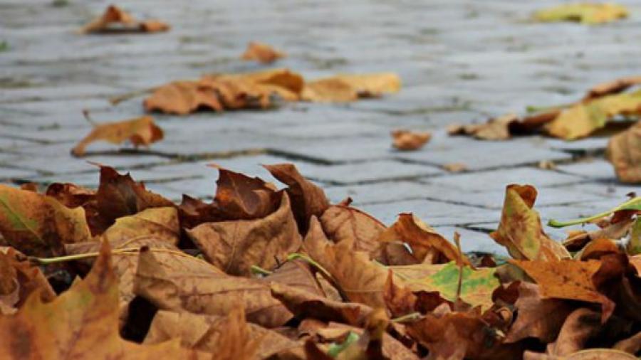 Inicia el otoño 2019, llega el primer frente frío de la temporada