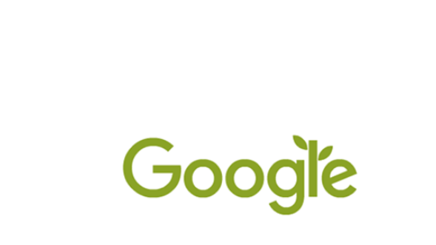 Google se une al "Día Mundial del Medio Ambiente"