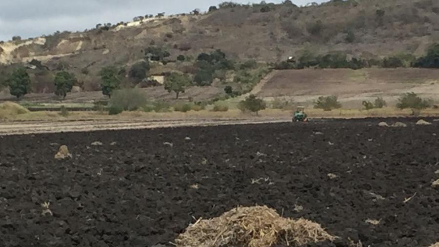 La deforestación afecta más de la mitad de las tierras en la zona sur de Tamaulipas.