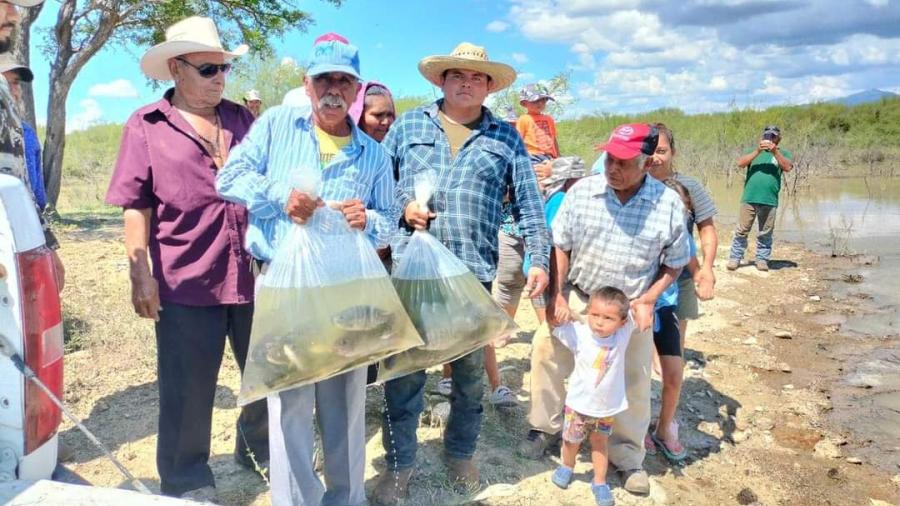 365 días de acciones en beneficio del campo tamaulipeco