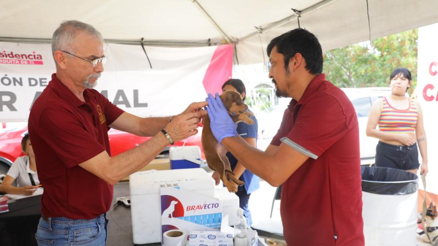 Gobierno municipal invita a jornada de ‘Presidencia cerquita de ti” en Villas del Sol
