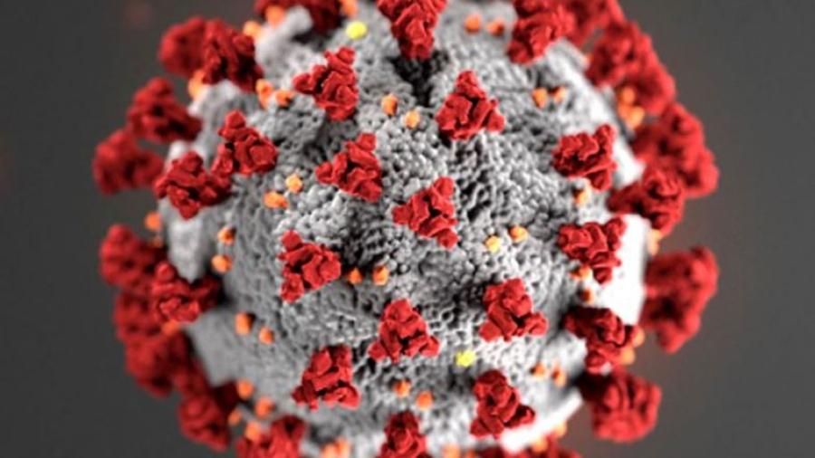 Confirman nuevo caso de coronavirus en el Condado de Willacy