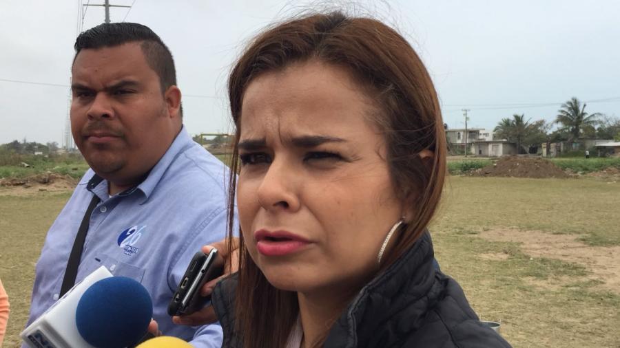 Es f&aacute;cil hablar por hablar en tema de seguridad, se&ntilde;ala Diputada