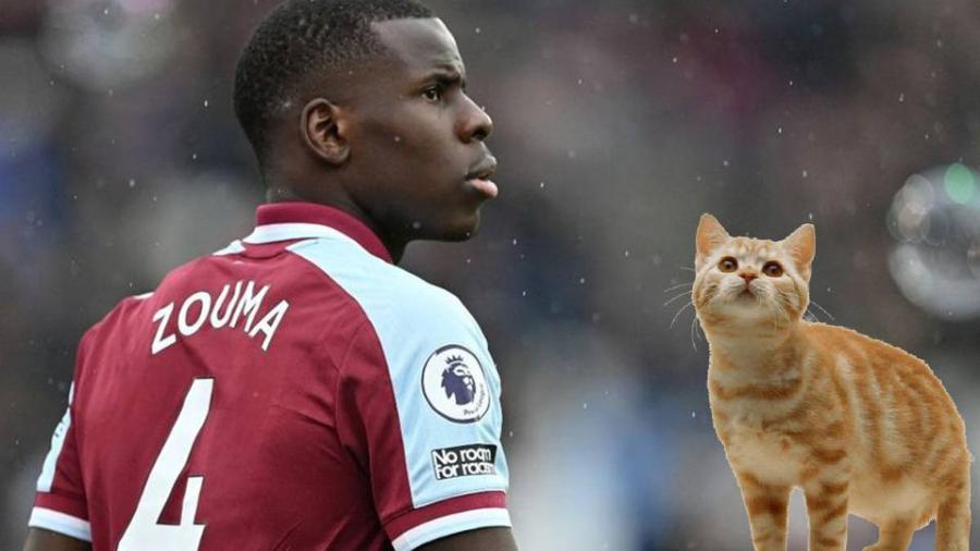West Ham dona multa de Kurt Zouma a asociaciones a favor de los animales