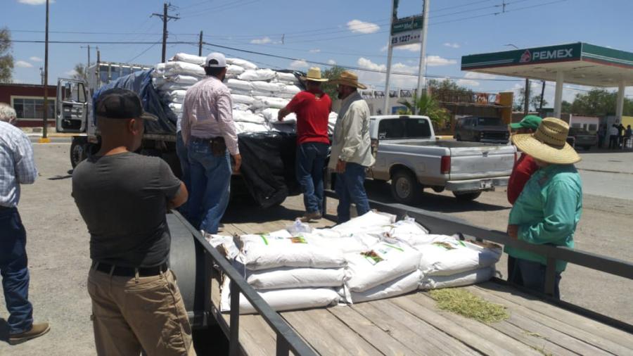Gobierno de Matamoros apoyará a 79 agricultores con semilla de sorgo subsidiada