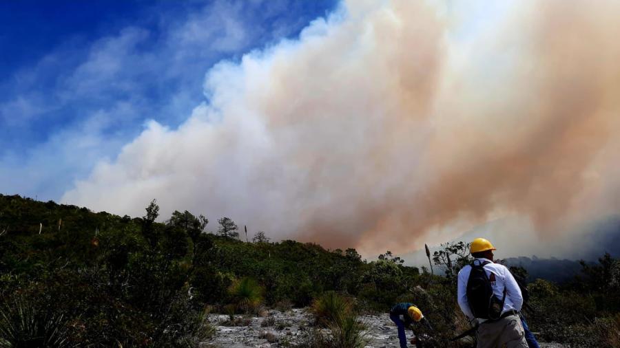 Extinguidos dos incendios forestales en Tamaulipas, tras esfuerzos coordinados