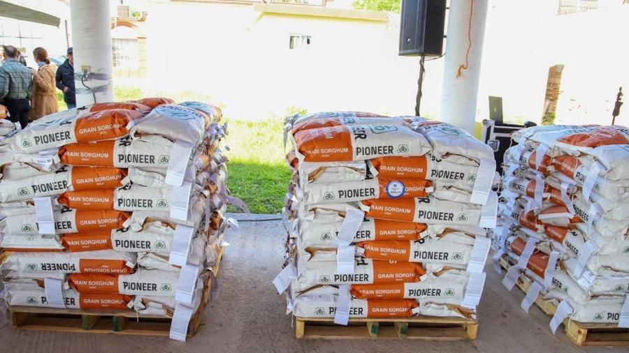 Analizan peticiones de agricultores tras mala cosecha de sorgo