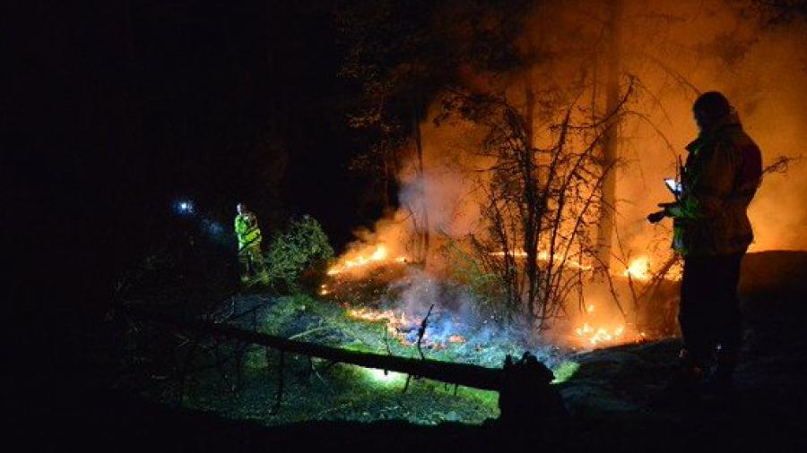 Bomberos y voluntarios combaten más de 50 incendios forestales en Suecia