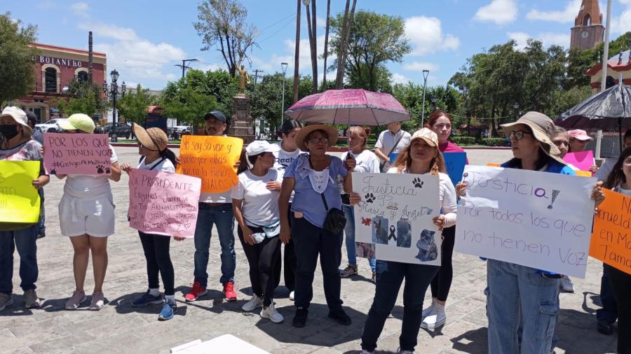 Marchan para exigir justicia por 2 animalitos cruelmente sacrificados