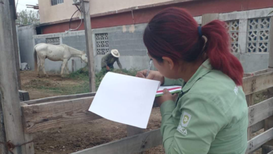 Atiende y resuelve Alcalde Carlos Peña Ortiz denuncias por maltrato animal