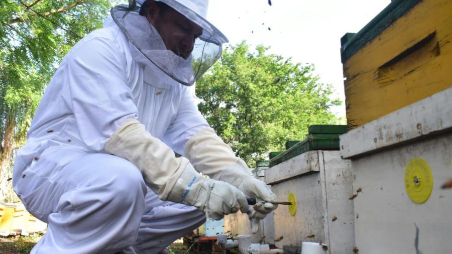 Avanza proyecto de la Sala de Extracción en Llera