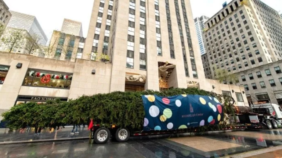 Llega a Nueva York el icónico árbol navideño del Rockefeller Center