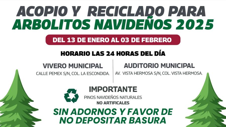 ¡No tires tu pino, el Gobierno de Reynosa lo recicla!