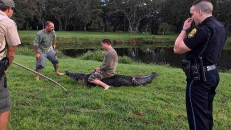 Caimán ataca a hombre el Florida