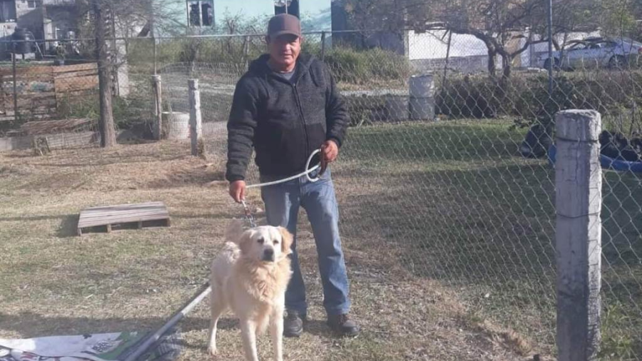 Promueve Alcalde Carlos Peña Ortiz programa de adopción de mascotas